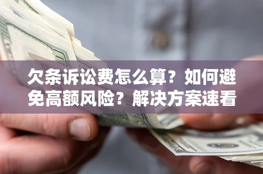 济南欠条诉讼费怎么算？如何避免高额风险？解决方案速看！